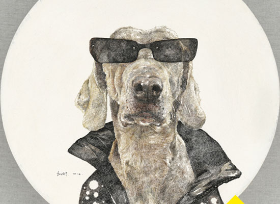 A Cool Dog Wearing Glasses